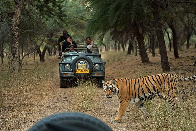 Private 6-Day Ranthambhore Tiger Tour including Delhi, Agra and Jaipur - Day 1 in Delhi: Big Monuments, Smooth Pace