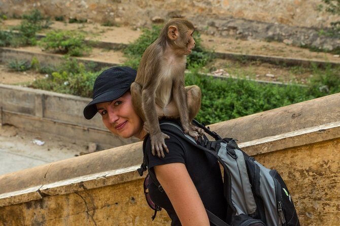Private 6 Hours: Jaipur Temples Tour - A Pink City Temple Loop That Fits a Tight Day