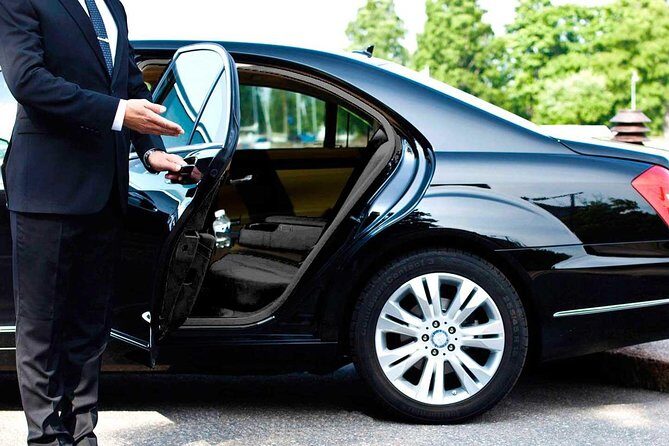 Private Airport Transfer Arrival from Delhi Airport to Your Hotel - Key things I’d watch for before you go