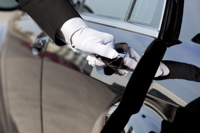 Private Airport Transfer Arrival from Delhi Airport to Your Hotel - The meet-and-greet: where you’ll find your driver