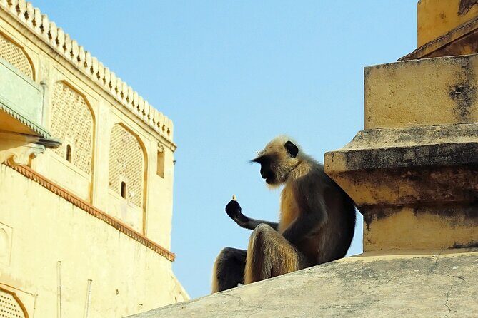 Private Day Tour of Jaipur with a Guide and Including Lunch - Jal Mahal at Sagar Lake: The Water Palace That Feels Like a Mirage