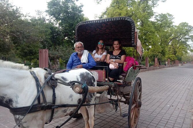 Private Day Tour Tajmahal Agra From Delhi - Timing and transport: why this route works for a one-day hit