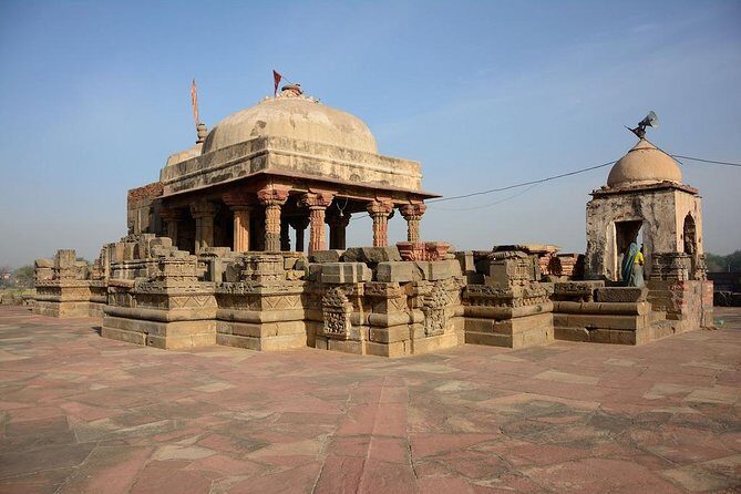 Private Day Trip to Abhaneri Chand Baori Stepwell from Jaipur - Monkey Temple at Galtaji: what to expect when monkeys meet your camera
