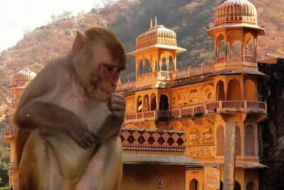 Private Day Trip to Abhaneri Stepwell & Monkey Temple from Jaipur - Stop 2: Galtaji Monkey Temple, seven holy kunds, and temple-ring views