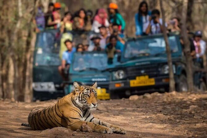 Private Delhi Agra Jaipur Multi Day Tour - Key Highlights