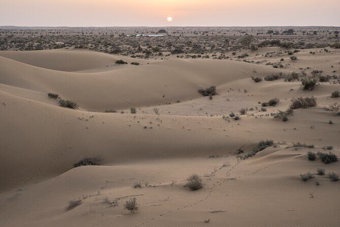 Private Family Tour in Jaisalmer - Key highlights at a glance
