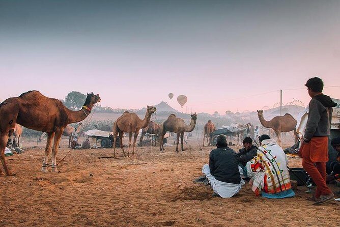 Private Full Day Jaipur Sightseeing Tour By Tuk-Tuk (Rickshaw) - How the tuk-tuk day is set up in Jaipur