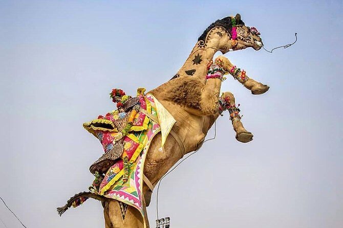 Private Full Day Jaipur Sightseeing Tour By Tuk-Tuk (Rickshaw) - A street-first route that keeps the day fun