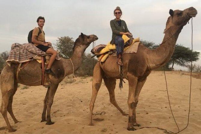 Private Full-Day Jodhpur City Tour and Desert Safari - Mehrangarh Fort: the views and the 2–3 hours that matter