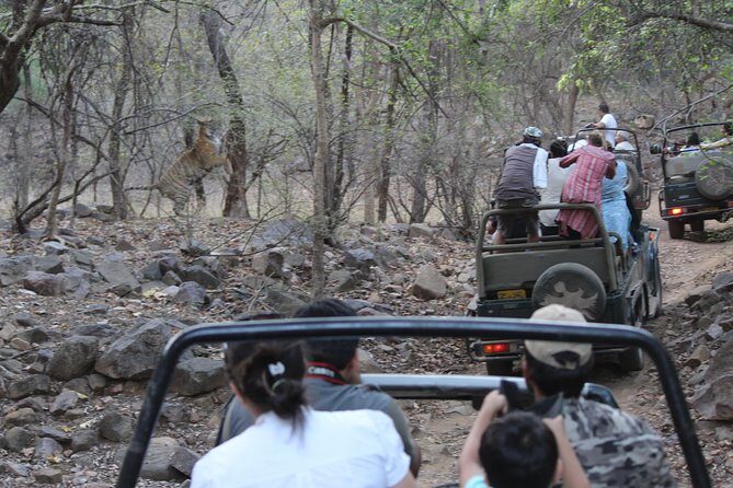 Private Full Day Trip to Ranthambore - Entering Ranthambore National Park: Check-in, IDs, and Vehicle Assignment