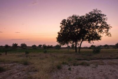 Private Jaisalmer Rural Farm Tour - Mystic Smiles Farm: Walking, Sitting Under Trees, and Quiet Time