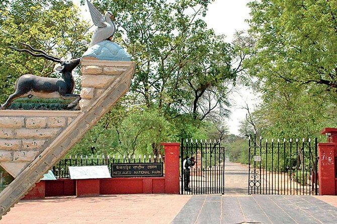 Private Keoladeo National Park Tour sightseeing - All Inclusive - What You’ll Do from Agra (And Why Pickup Matters)