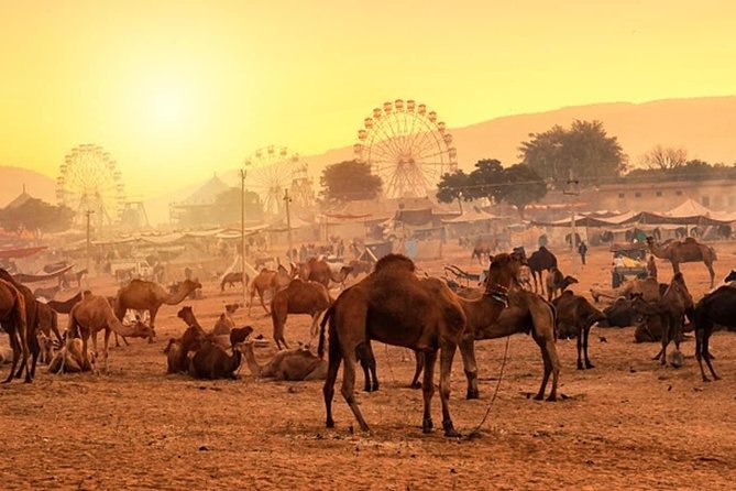 Private One Day Trip to Pushkar from Jaipur - Pushkar’s sacred lake and the one Brahma Temple