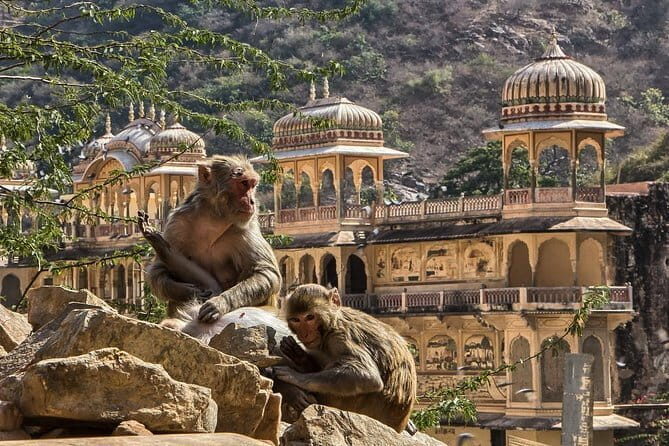 Private Overnight Jaipur City Tour from Delhi - The guide factor: Kamran’s smooth pace vs the one real warning
