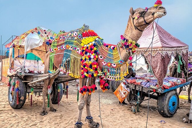 Private Same Day Trip to Pushkar from Jaipur - Stop 1: Brahma Temple—only one of its kind