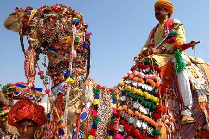 Private Same Day Trip to Pushkar from Jaipur - Desert time: camel safari and jeep-style off-road views
