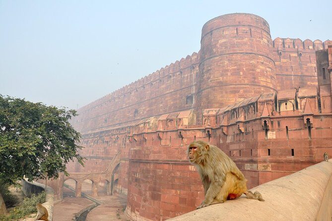 Private Taj Mahal & Agra Tour by Express Train From - Delhi - Price and value: what $8.50 covers and why it’s unusually good