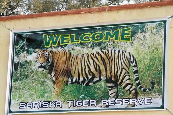 Private Tour from Delhi to Sariska Safari and Jaipur (1N/2D) - Sariska rules that affect your day (Wednesday is the big one)