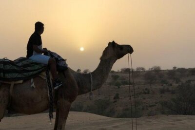 Private Tour of Bishnoi Villages with Desert Safari - What you’ll do in the Bishnoi villages area