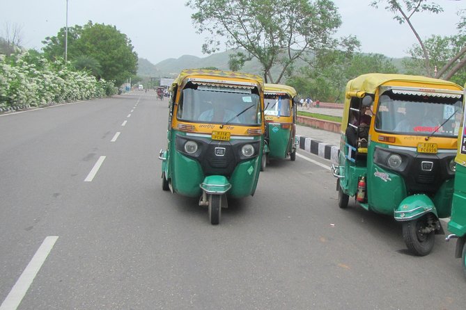 Private Tuk-Tuk Tour of Jaipur with Guide - Jantar Mantar: stone instruments, not just a viewpoint