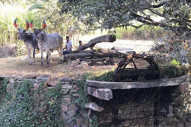 Private Udaipur Village Tour by Tuk-Tuk or by Car - Who This Tour Suits Best (And Who Might Want Something Else)