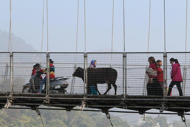 Private Walking Tour in Rishikesh - Walking Rishikesh without getting swamped by it