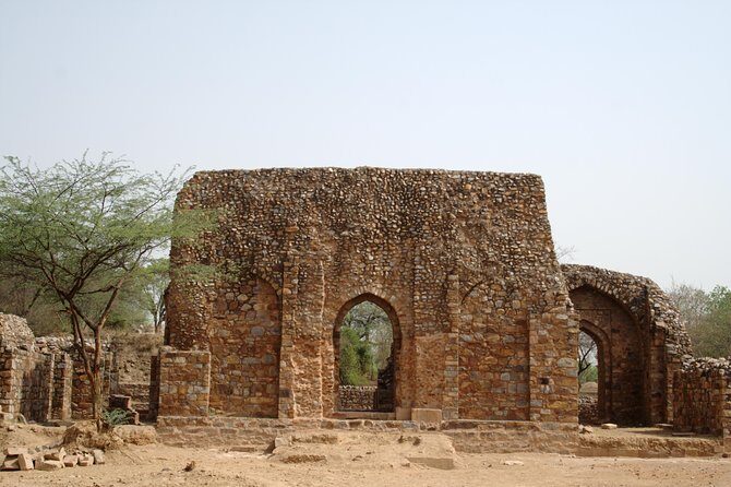 Private Walking Tour: South Delhi Heritage including Qutub Minar and Mehrauli Archaeological Park - Lunch or dinner, and why the meal inclusion is actually smart