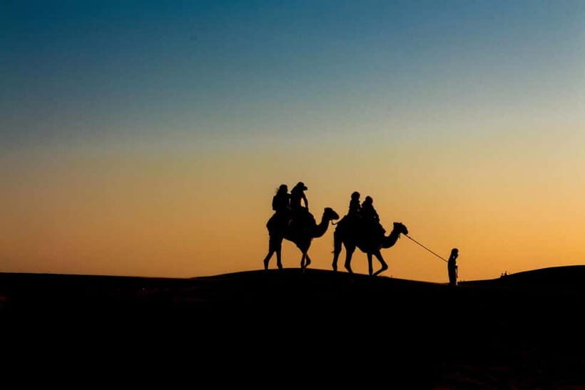 Pushkar: Camel Sunset Safari Adventure - Camel Ride Through Farms and Village Edges