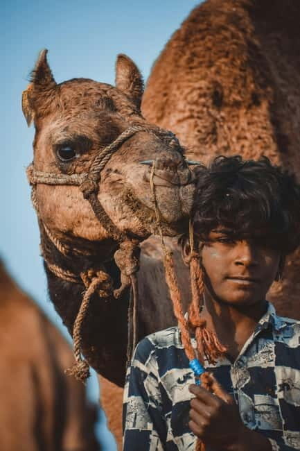 Pushkar: Camel Sunset Safari Adventure - Desert Dunes and Big Sunset Views Over Pushkar