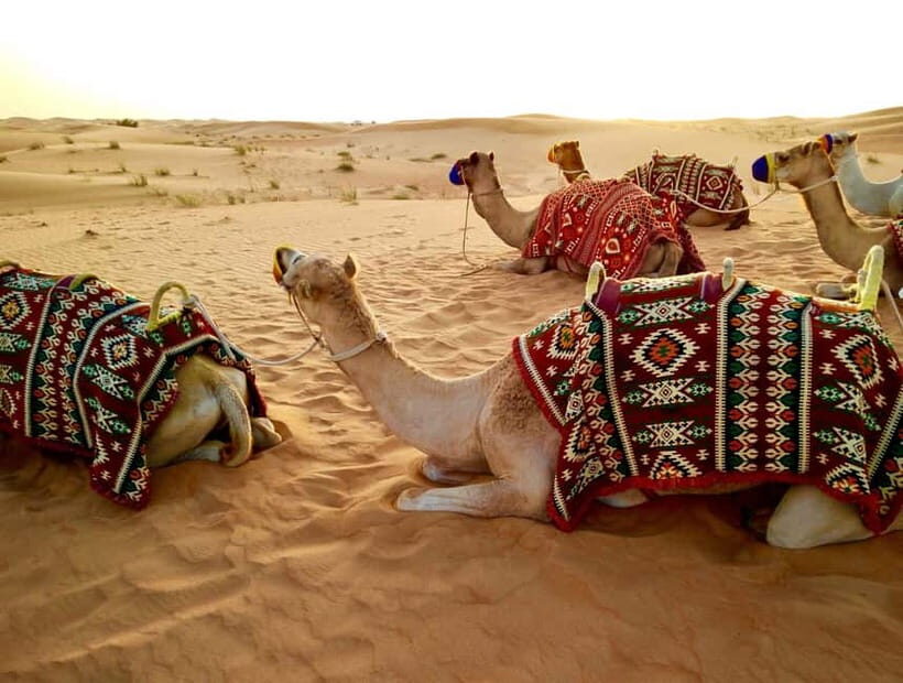 Pushkar: Camel Sunset Safari Adventure - Getting to the Camel Rest Spot: Pickup and Town Walk