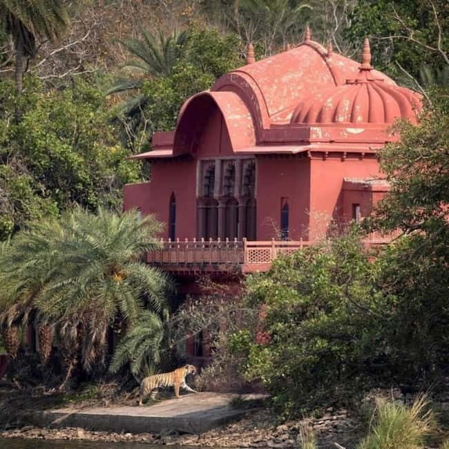 Ranthambhore: Ranthambhore Tiger Reserve Booking - Wildlife Chances: Tigers, Leopards, Sloth Bears, and the Stuff You Might Miss