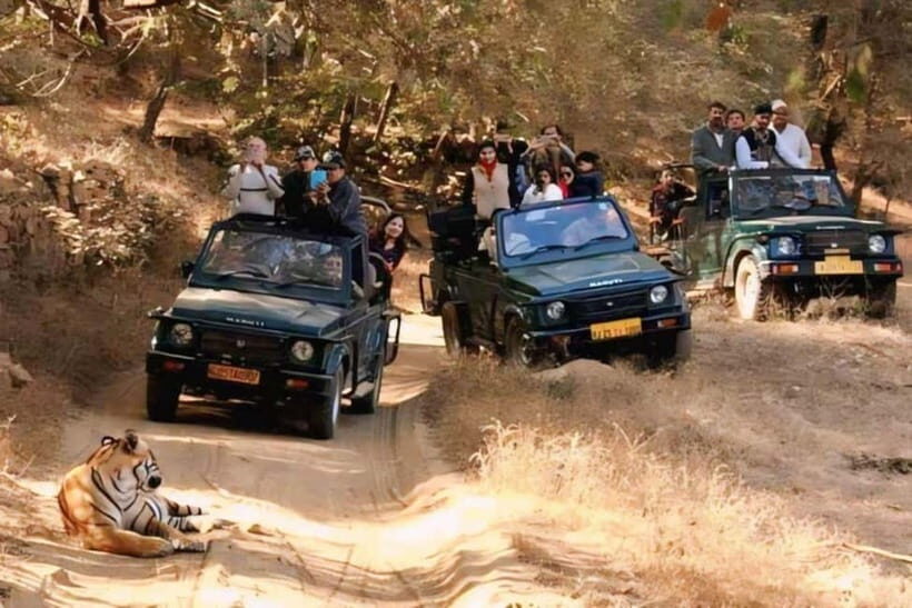 Ranthambhore: Ranthambhore Tiger Reserve Booking - Accessibility and Comfort Limits You Should Respect