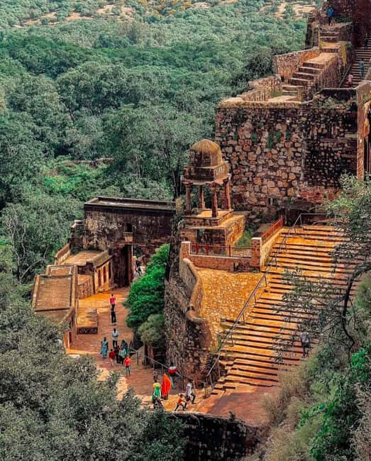 Ranthambore Fort and Ganesh Temple tour in a Jeep - Price and value: why $93 per group can make sense