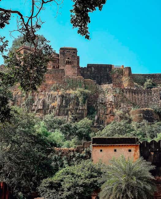 Ranthambore Fort and Ganesh Temple tour in a Jeep - Tips to make the fort climb and park stop easier