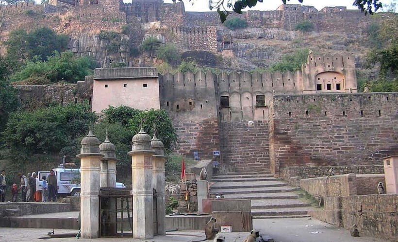 Ranthambore: Guided Safari Tour by Canter or Jeep - Price and value: what the safari charge actually covers