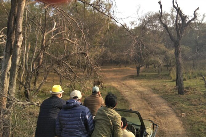 Ranthambore National Park - Guide quality: the real multiplier on safari day