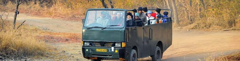 Ranthambore National Park: Safari Ticket with Pickup Option - Price and value for $54: what you are paying for
