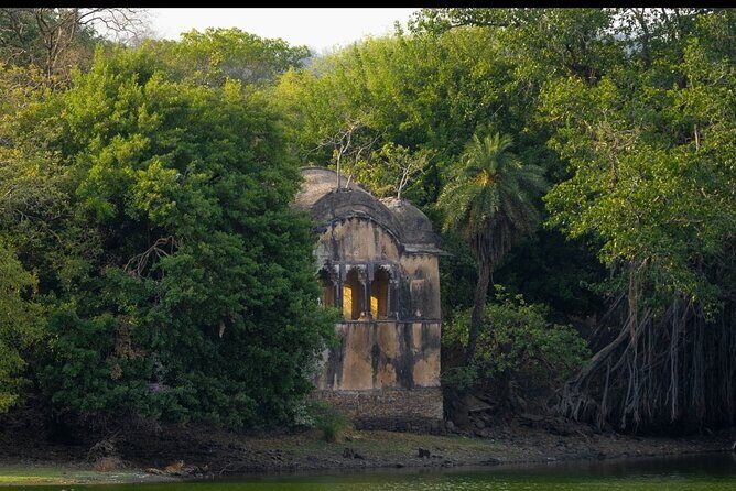 Ranthambore Safari Booking - Getting There: Ranthambore City Heart as Your Anchor