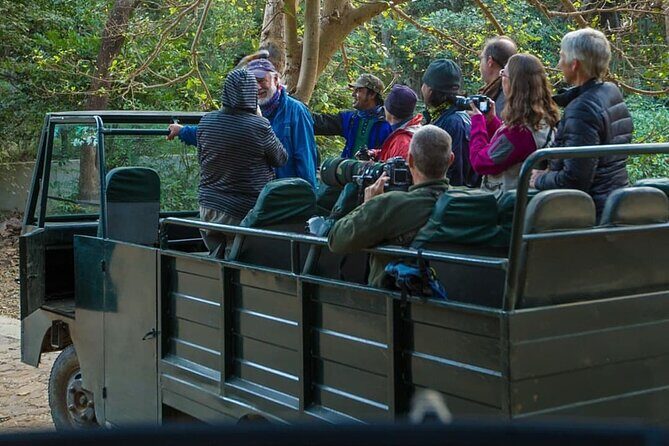 Ranthambore Safari Booking - How the Safari Itself Usually Feels on the Ground