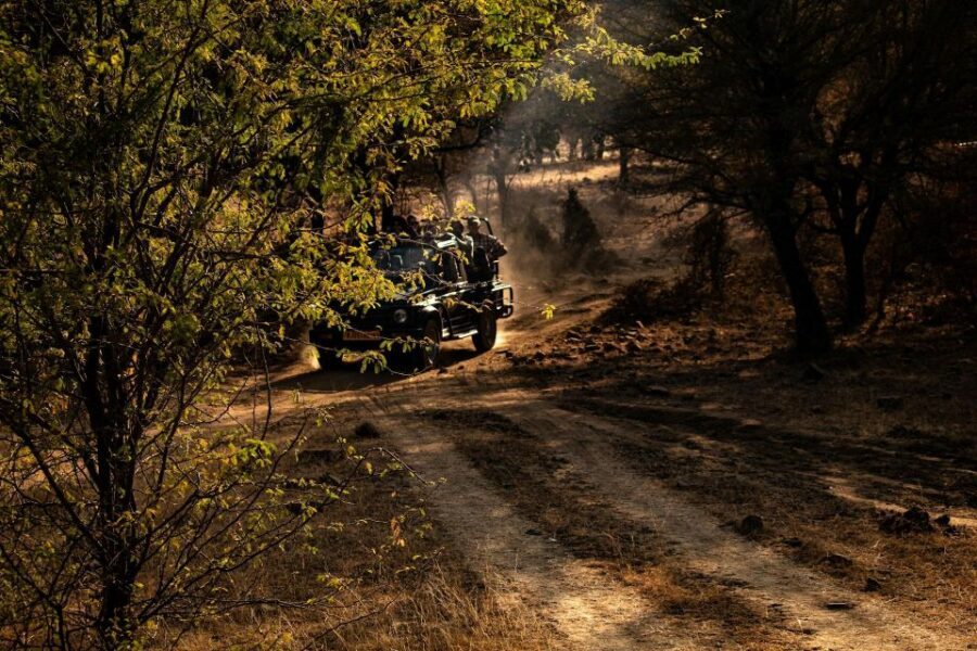 Ranthambore safari by Canter ( 20 seater bus) - The Guide Factor: Hindi and English Makes a Difference