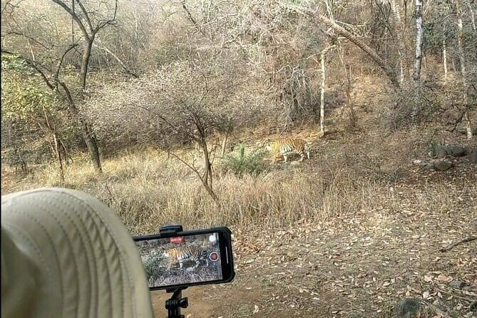 Ranthambore - Sharing Tiger Safari In Canter Or Gypsy Vehicle - What to Expect During the Safari Ride