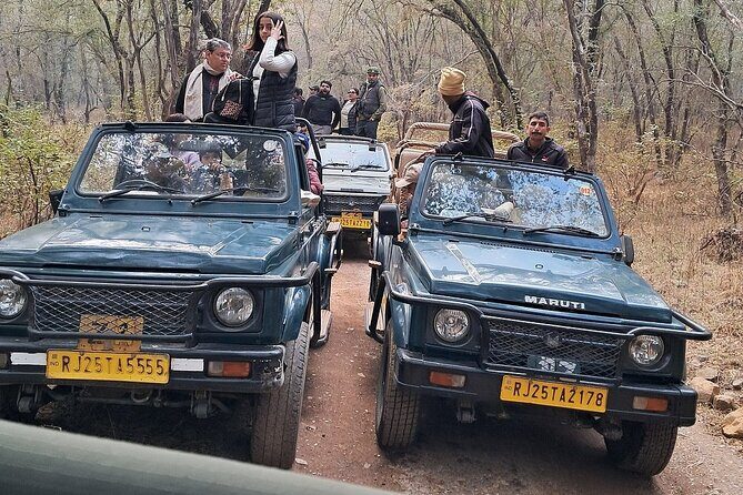 Ranthambore Tiger Reserve Private Gypsy Safari All inclusive - Hotel pickup and the transfer rhythm in Sawai Madhopur