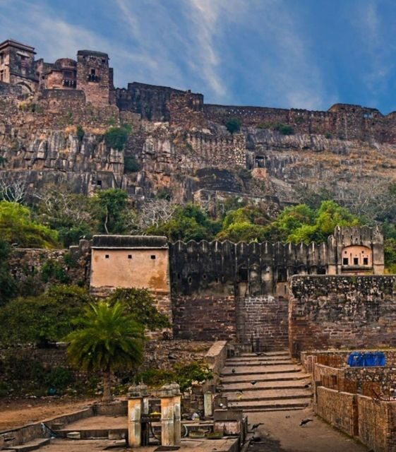 Ranthambore WildLife (tiger safari)Full Day Tour From Jaipur - Key points to know before you go