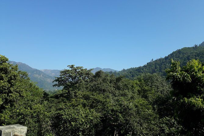 Rishikesh: Beatles Ashram Art & Meditation Walking Tour - Parmarth Niketan on the Ganga: spiritual atmosphere without the showiness