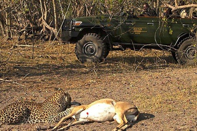 Safari In Jhalana Leopard Conservation Reserve, Jaipur - What you’re really hunting for: leopards, cubs, and the rest of Rajasthan’s wildlife