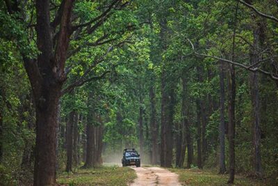 Safari In Jhalana Leopard Conservation Reserve, Jaipur - The forest expert guide: how bird knowledge boosts your odds