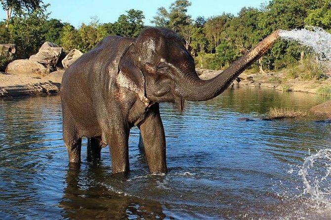 Same day Tajmahal tour with SOS Elephant/Bear wildlife Sanctuary - Getting Back to Delhi: How to End the Day Without Stress
