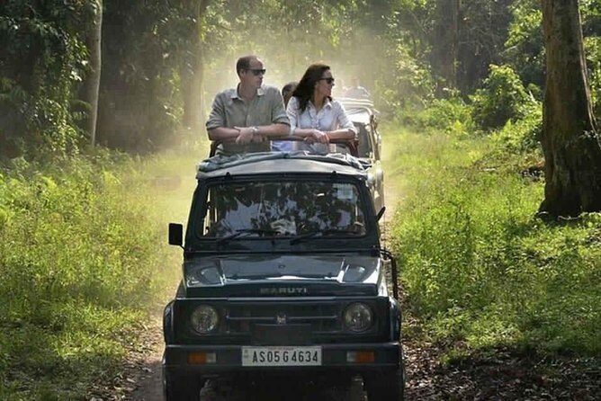 Sariska Tiger Reserve Safari tour from Jaipur - Getting to Sariska from Jaipur without eating your whole day