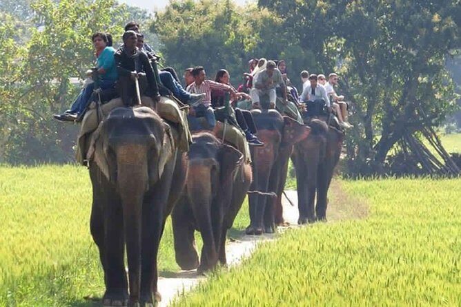 Sariska Tiger Reserve Safari tour from Jaipur - Small details that can make or break your day