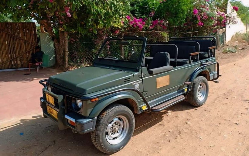 Sawai Madhopur: Ranthambore National Park Guided Jeep Safari - How to Choose Your Day: Zone Questions and Vehicle Comfort Checks